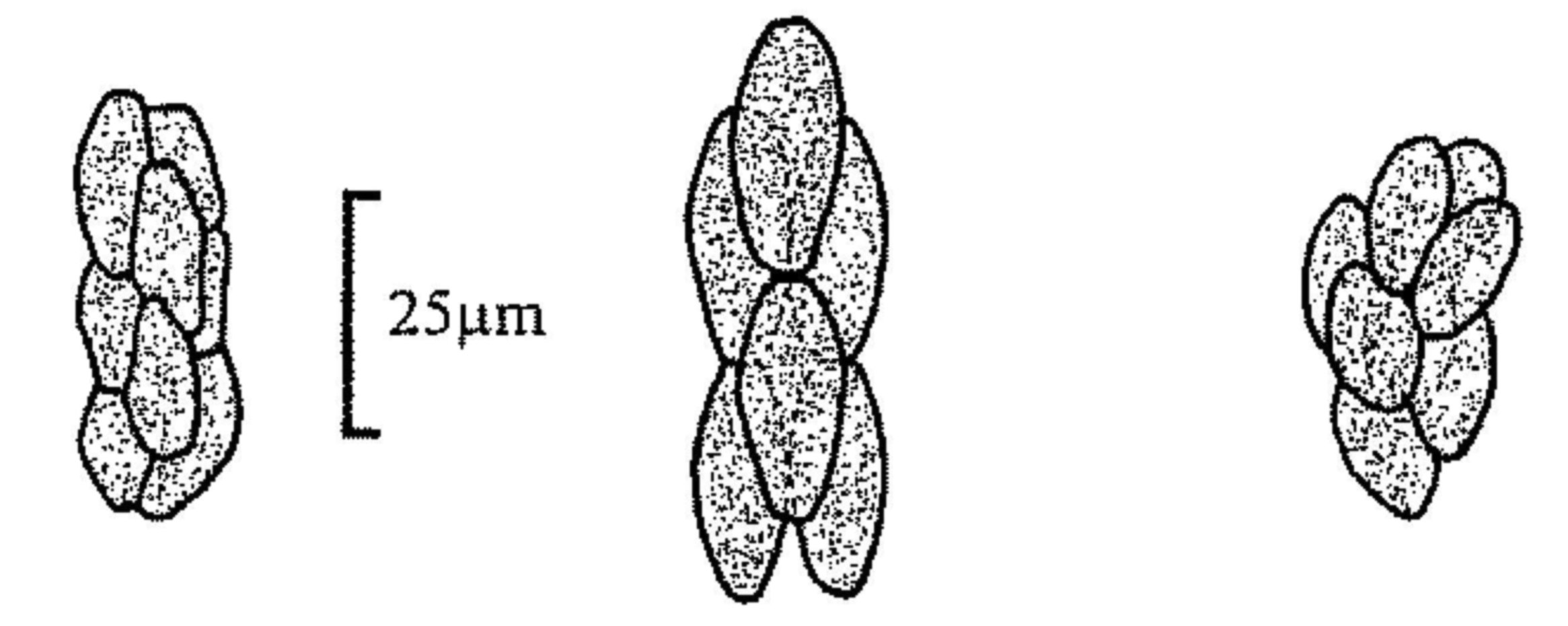 Figure 10 Figure 10