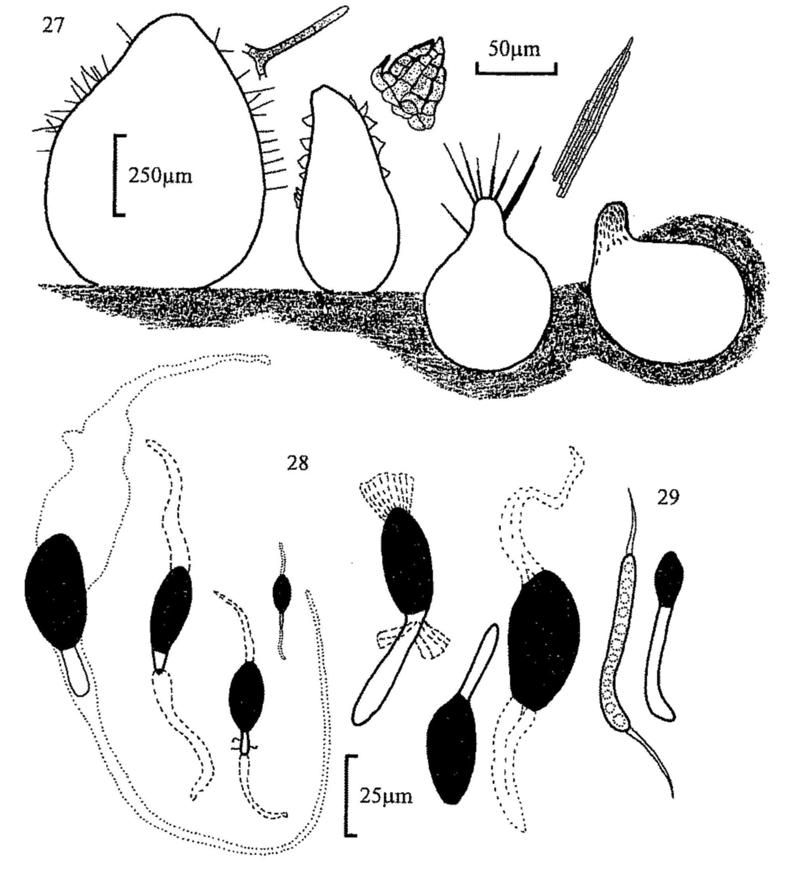 Figures 27-29