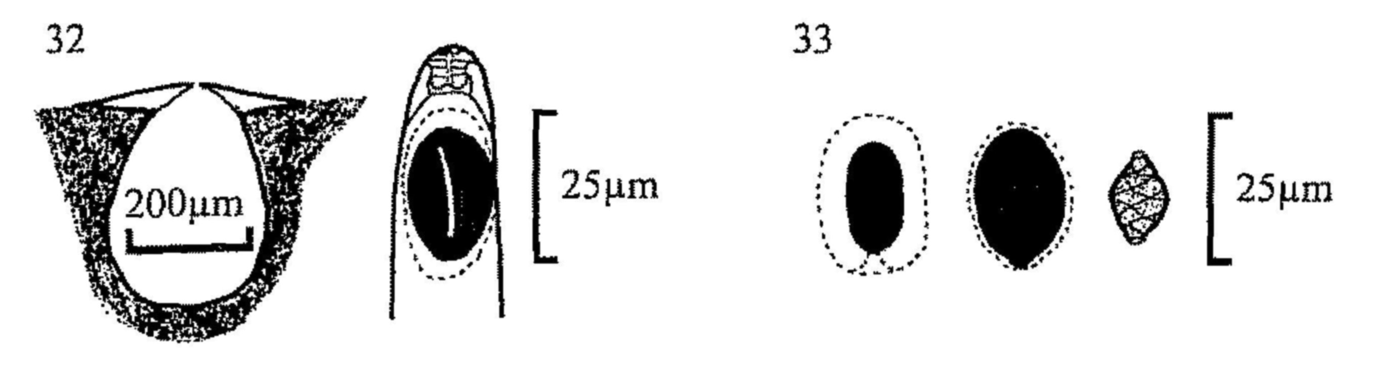 Figures 32-33
