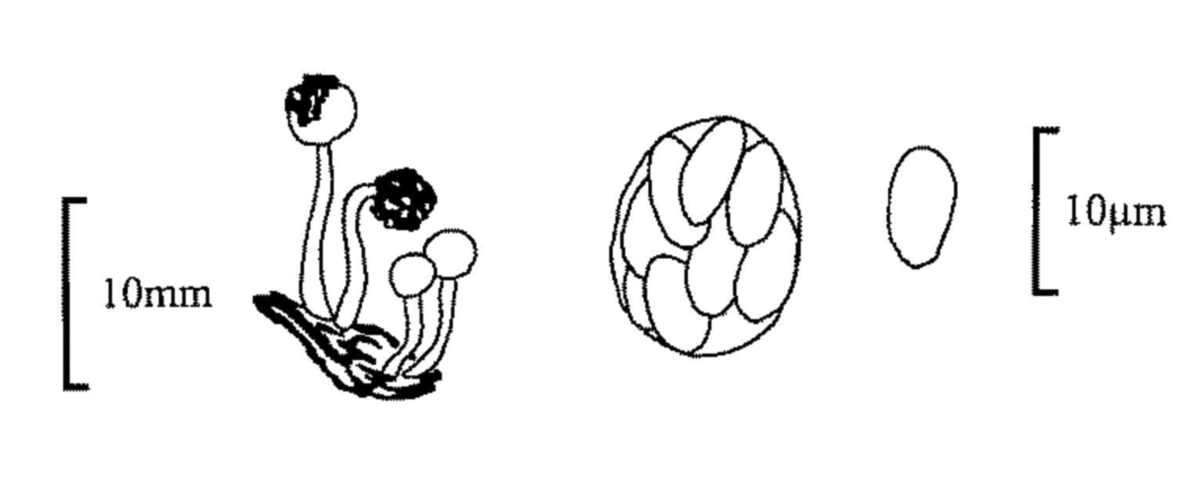 Figure 38 Figure 38