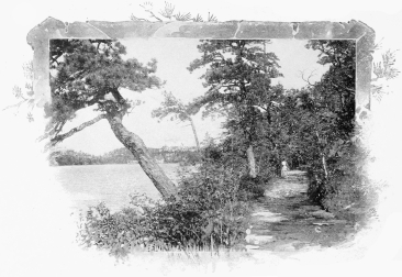 Lake Shore Walk Lake Shore Walk