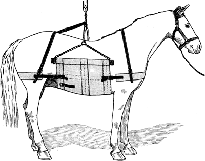 Fig. 5—Ordinary type of heavy sling. Fig. 5—Ordinary type of heavy sling.