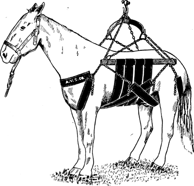 Fig. 6—A sling made in two parts so that horses may be supported without use of central part or bodice. This sling is more comfortable than is the ordinary style and is particularly useful in cases that require a long period of this manner of confinement. Fig. 6—A sling made in two parts so that horses may be supported without use of central part or bodice. This sling is more comfortable than is the ordinary style and is particularly useful in cases that require a long period of this manner of confinement.