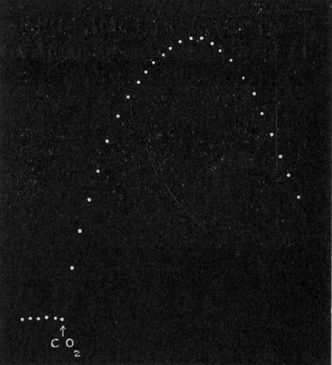 Fig. 96.
