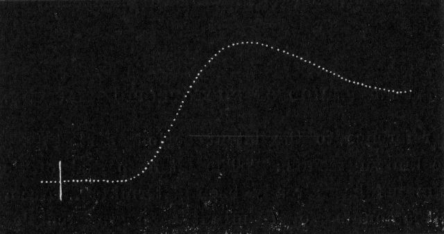 Fig. 116.