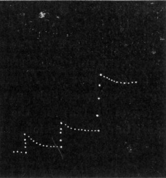 Fig. 125.