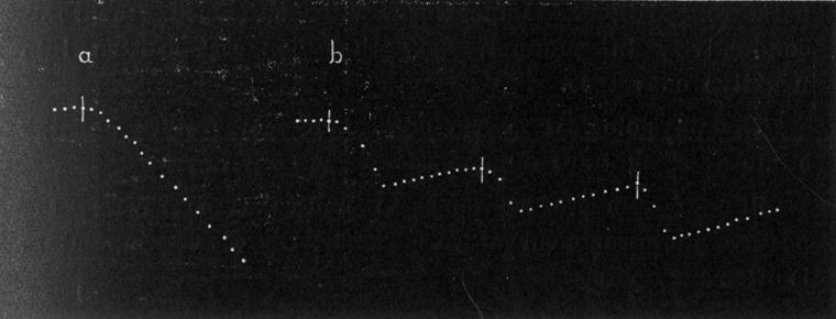 Fig. 147.