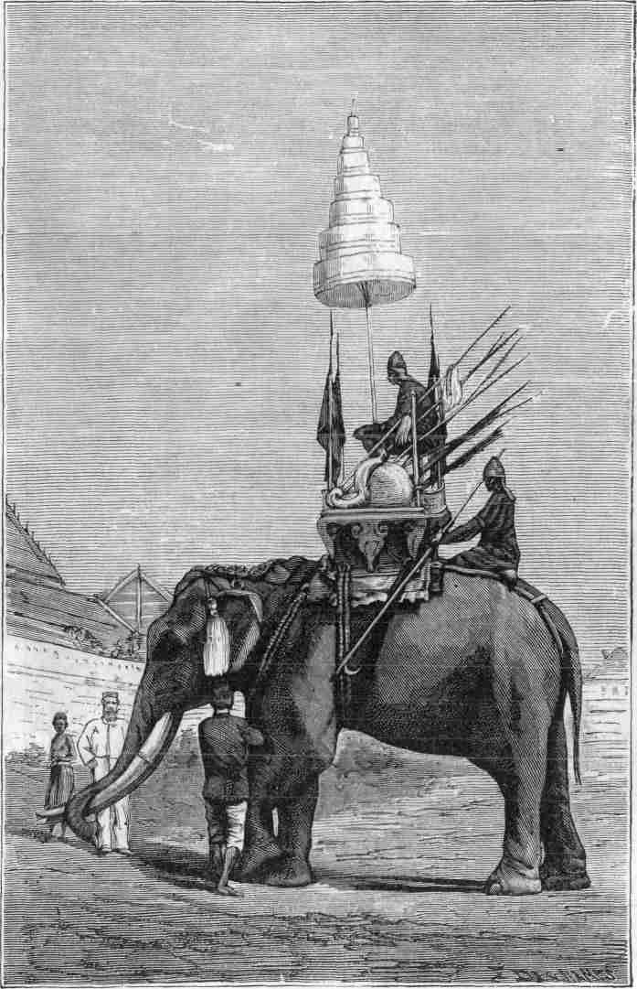 Elephant Armed for War.