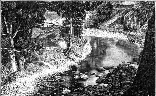THE ENVIRONS OF MELBOURNE