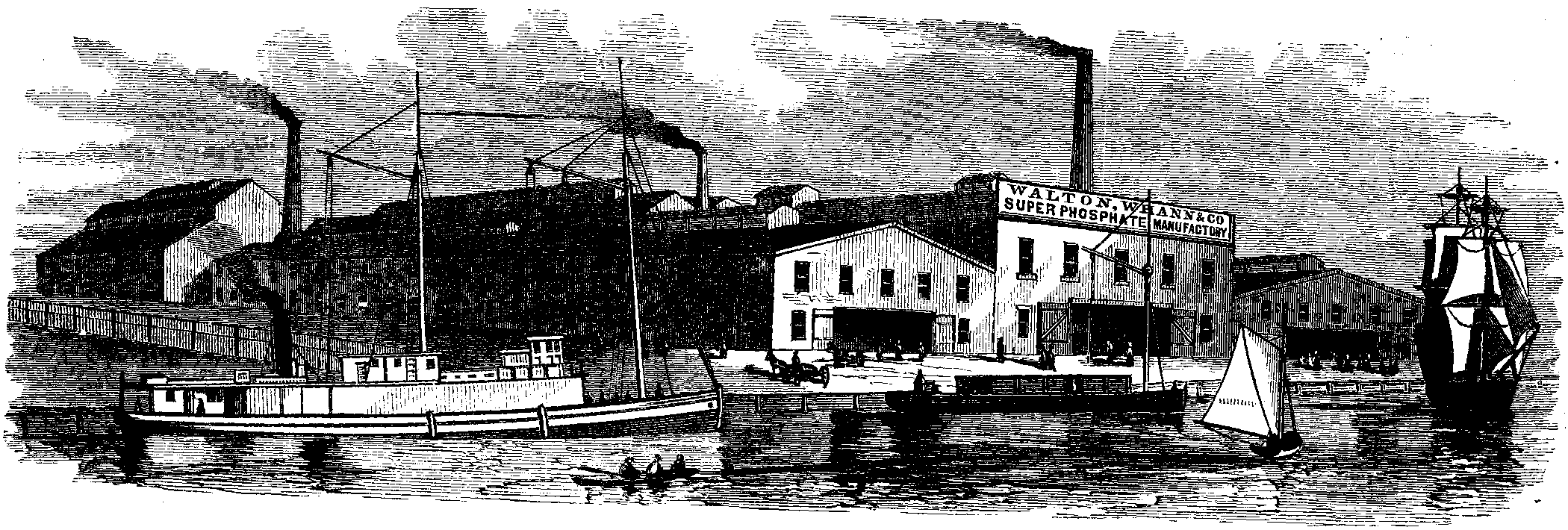 STEAM MANUFACTORY OF SUPERPHOSPHATES.