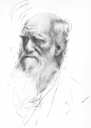 DARWIN DARWIN