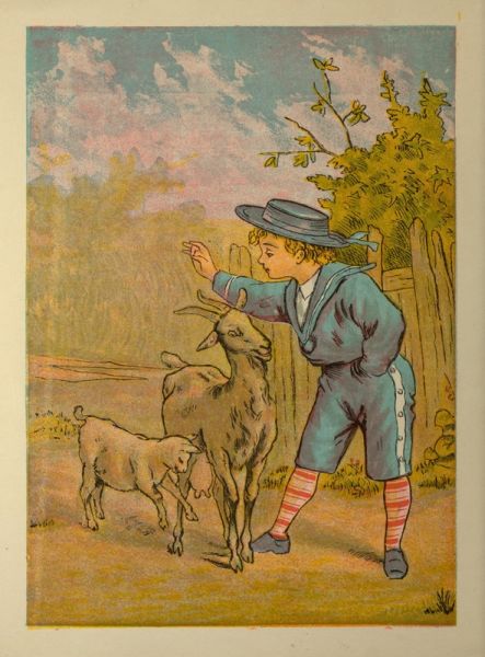 Harry feeds Gisette