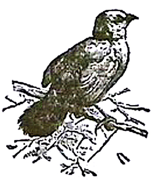 image010
