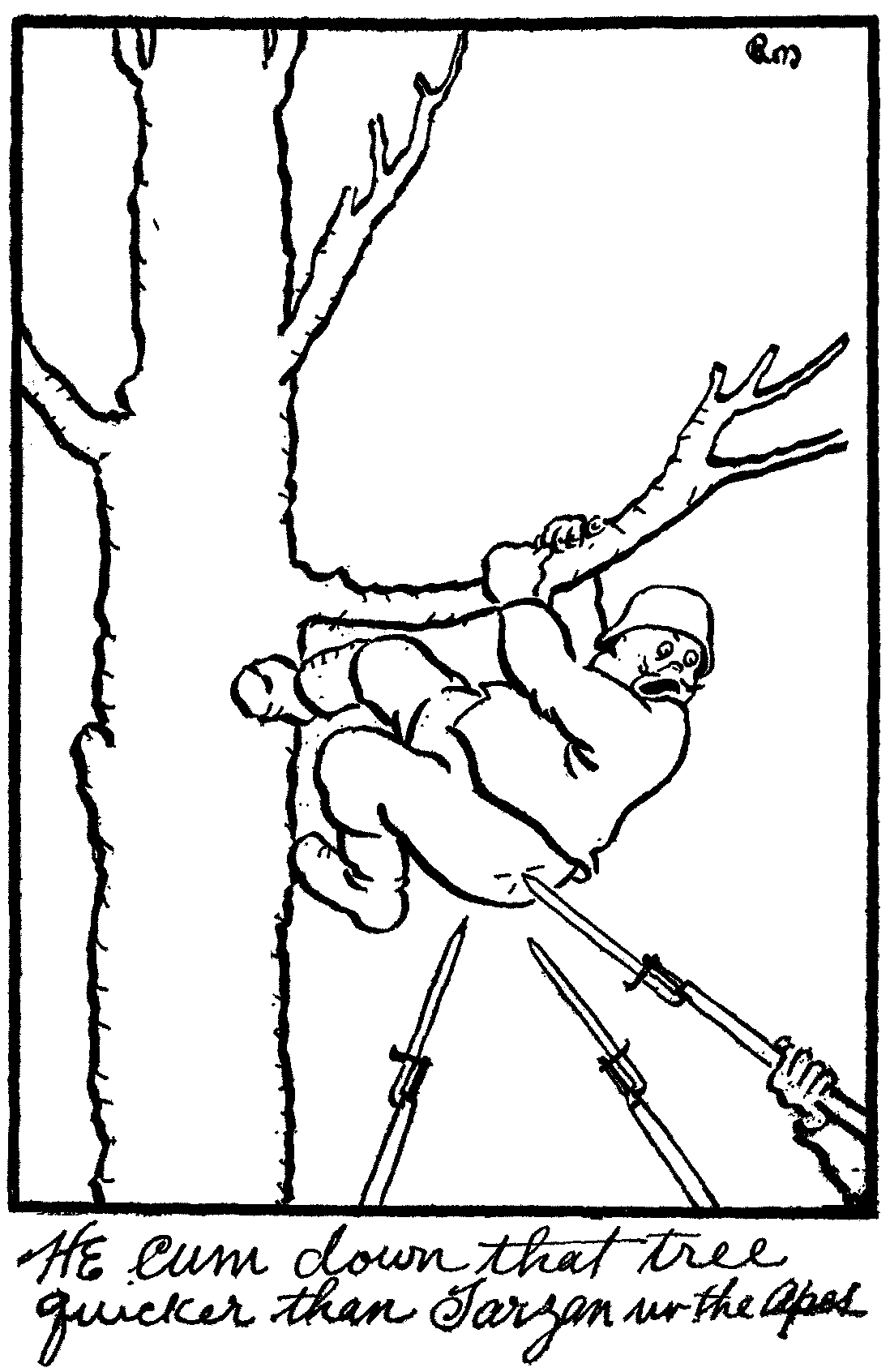 He cum down that tree quicker than Tarzan uv the Apes