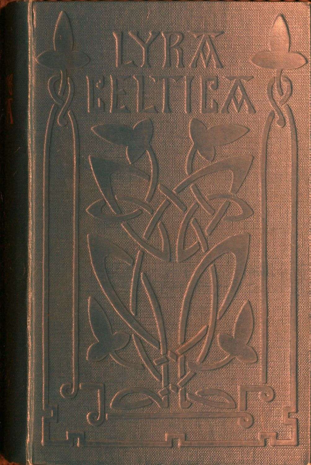 [Image of the book's cover is unavailable.]