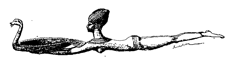 Fig 249.--Spoon. 