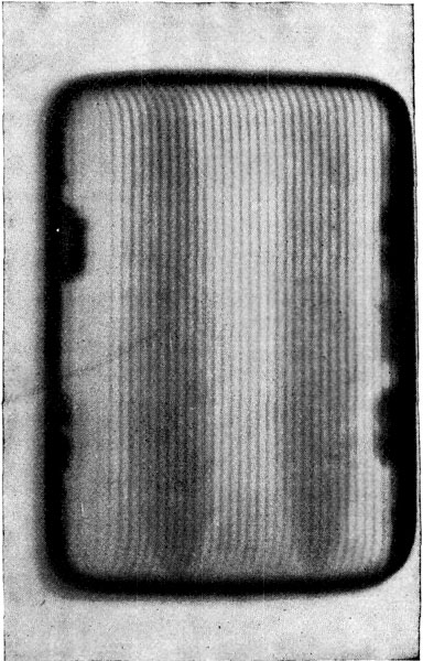 PICTURE OF AN ALUMINIUM CIGAR-CASE, SHOWING CIGARS WITHIN.