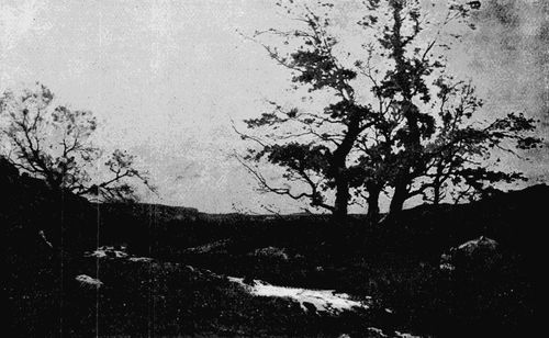A BROOK IN THE DEPARTMENT OF VAR, FRANCE. FROM A PAINTING BY HENRI HARPIGNIES.