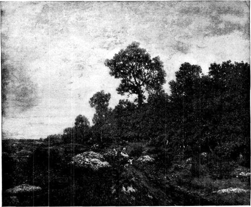 THE EDGE OF THE FOREST (FONTAINEBLEAU). FROM A PAINTING BY THÉODORE ROUSSEAU.