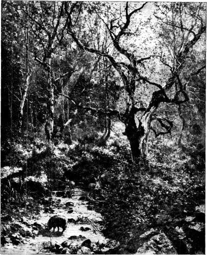 A SUNLIT GLADE. FROM A PAINTING BY LÉON GERMAIN PELOUSE.