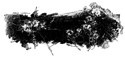End of Chapter Graphic.