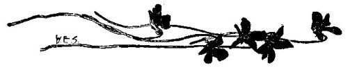 End of Chapter Graphic.