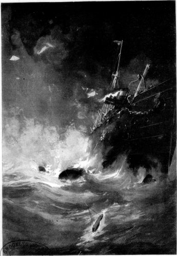 THE KITE-BUOY IN SERVICE.