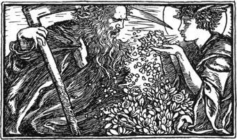 Cover Illustration