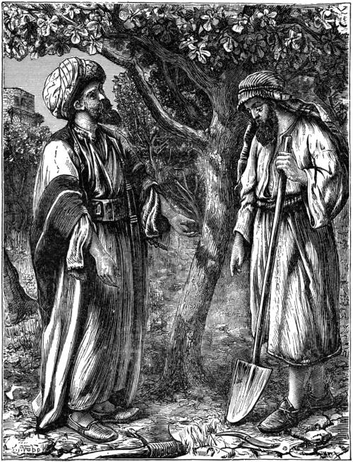 THE UNFRUITFUL TREE.