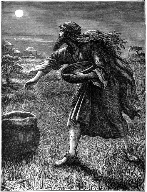 THE ENEMY SOWING TARES.