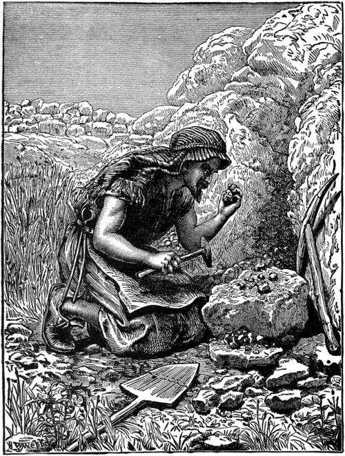 THE TREASURE HID IN A FIELD.