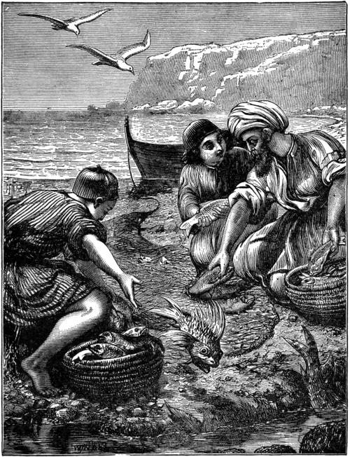 THE PARABLE OF THE NET.