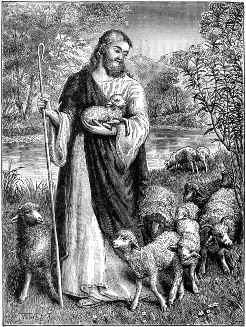 THE SHEPHERD AND THE LAMBS.