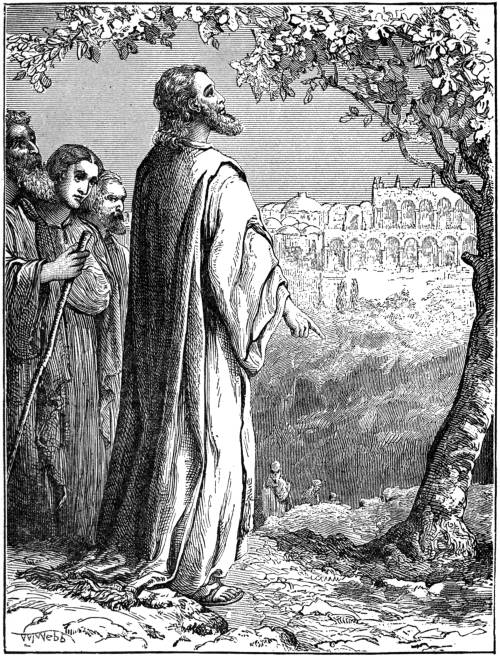 THE BARREN FIG-TREE.