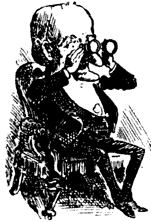 Mr. Punch cartoon