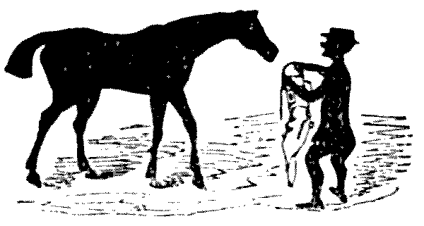 Man putting bridle on horse.