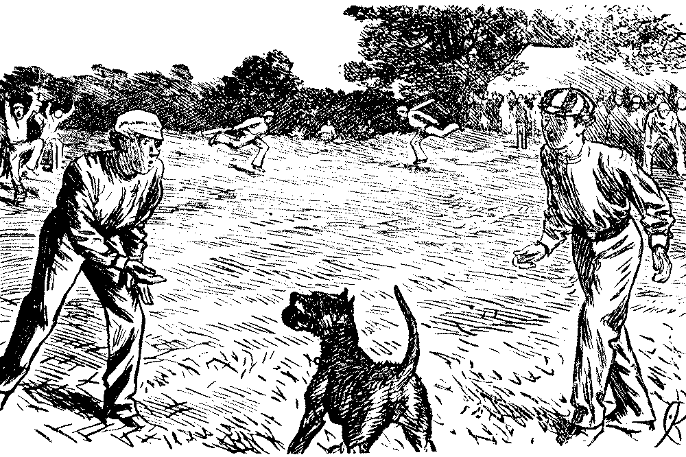 Dog with cricket ball
