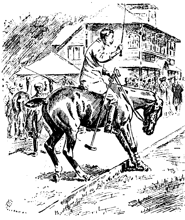 Transigent pony