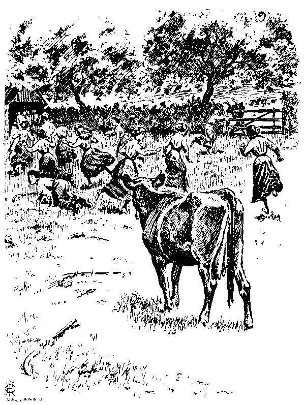 Teams fleeing from a cow.