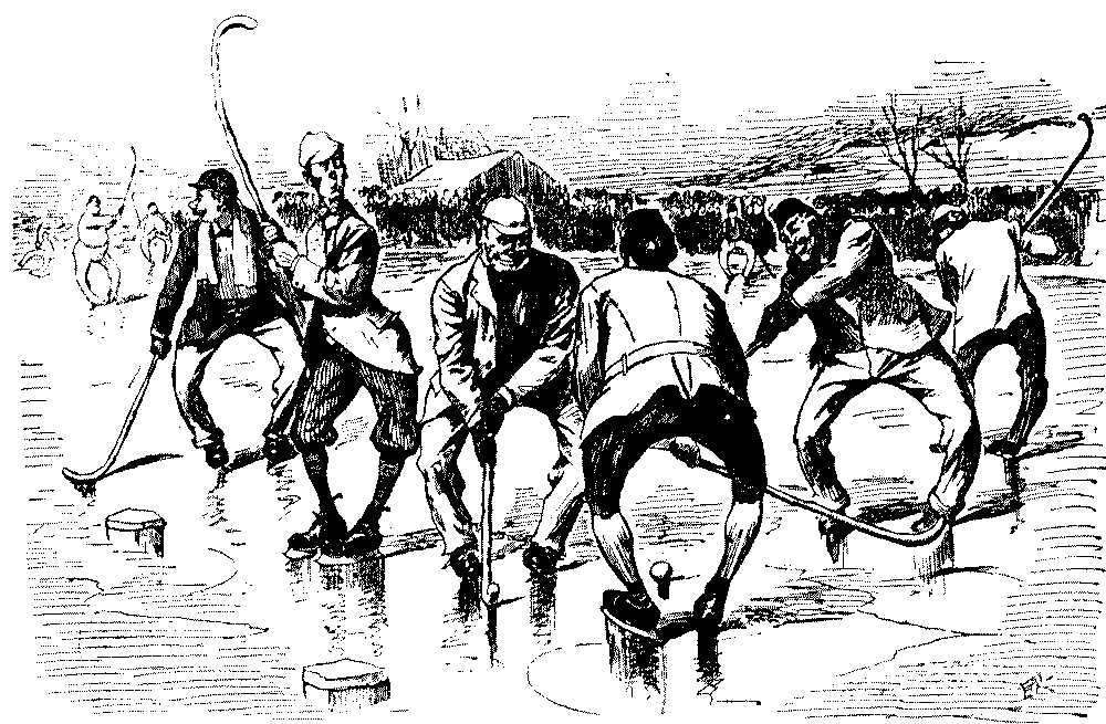 Ice hockey match.