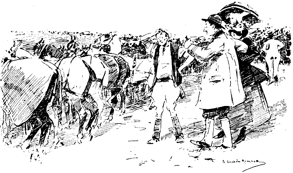 Man trying to find a horse amongst many.