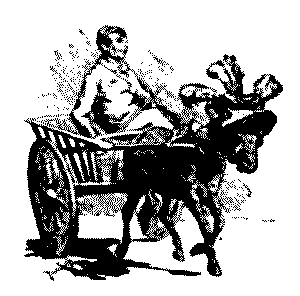 Driver of carriage.