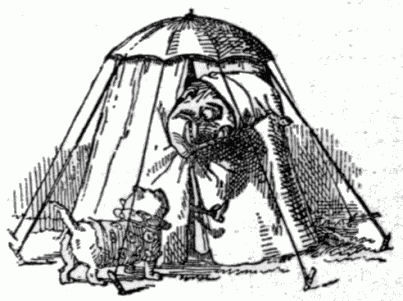 Punch in Tent