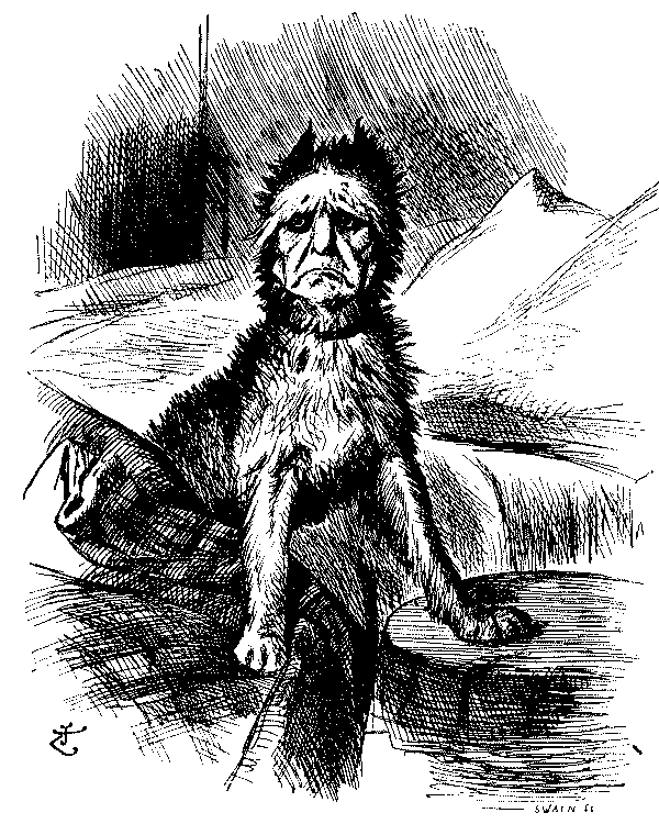 Cartoon, Mr. Gladstone.