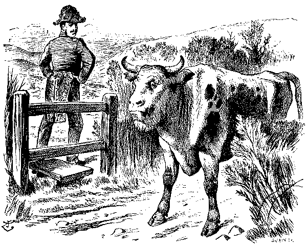 Cartoon, Man on stile  looking at caricature cow.