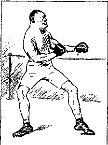 Boxer in ring.