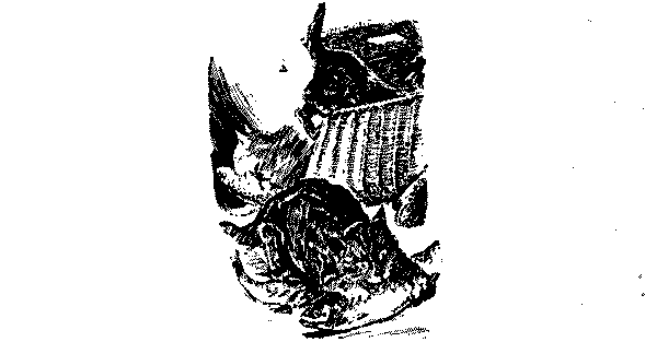 Cat eating the fish.