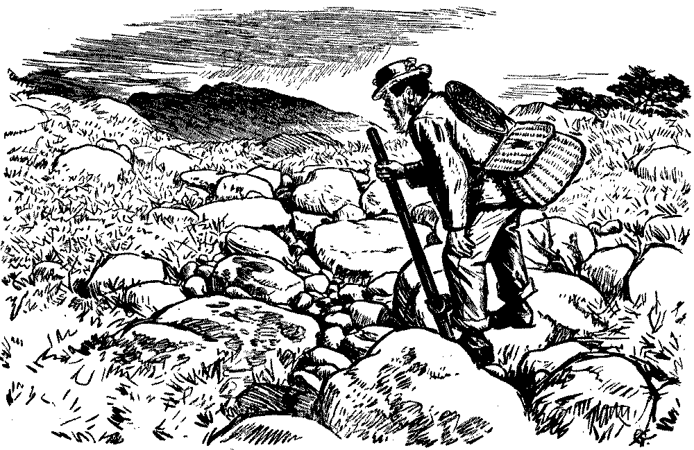 Man viewing  dried up stream.