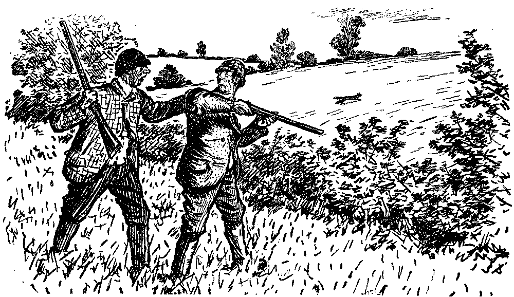 Man about to shoot fox.