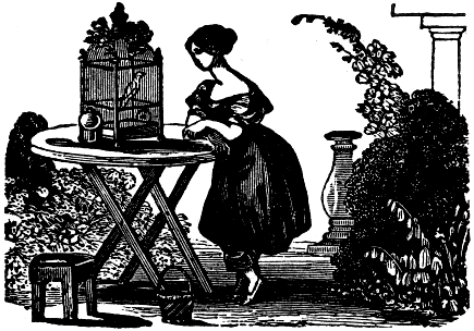 Lady and a caged bird.